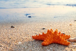 Obituary of Leslie Behren Gary