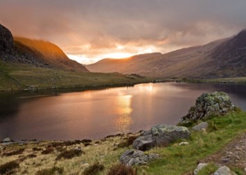 Obituary of Joaquin Suarez