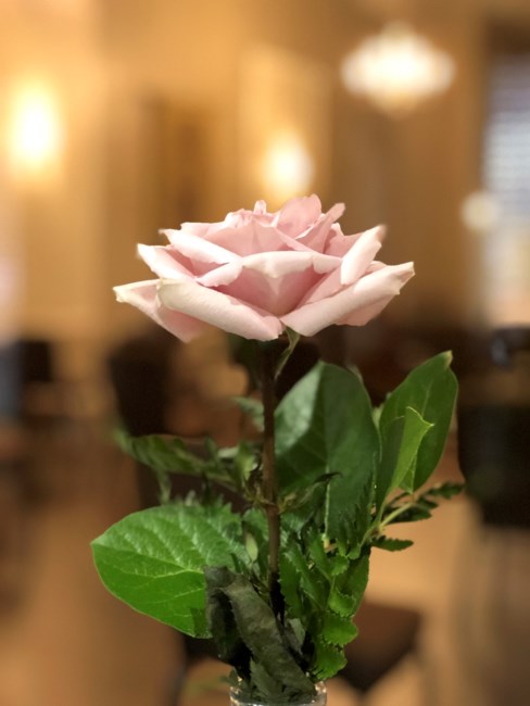 Obituary of Joan Mary Armentano