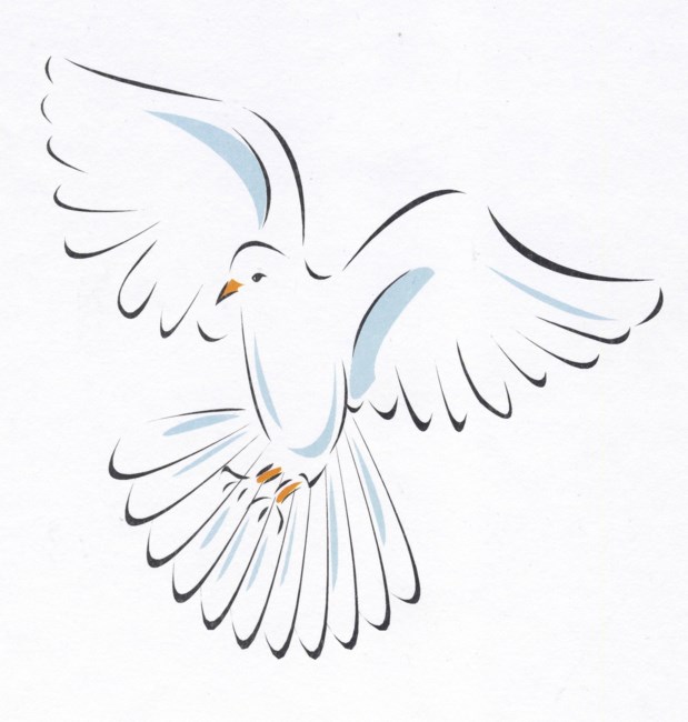 Obituary of Veronica B. Anderson