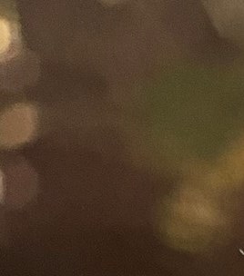 Steven Anthony Finch Obituary Naples, FL