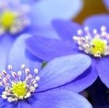 Obituary of Anna Sagan (nee Cielecki)