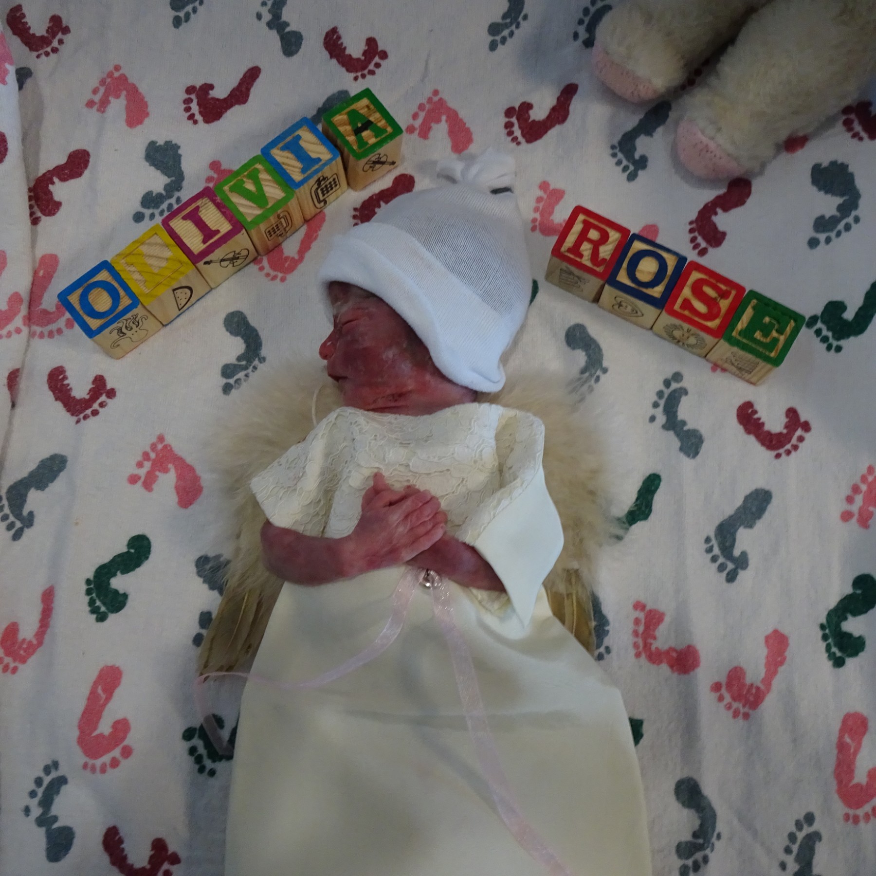 Obituary of Olivia Rose Gallardo