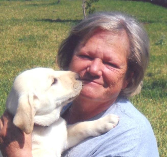 Obituary of Debra Lynn Hollingshead