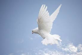 Obituary of Eva N. Wise