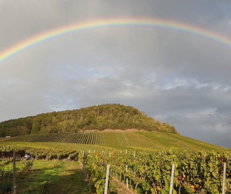 Obituary of Enos G Schwartz