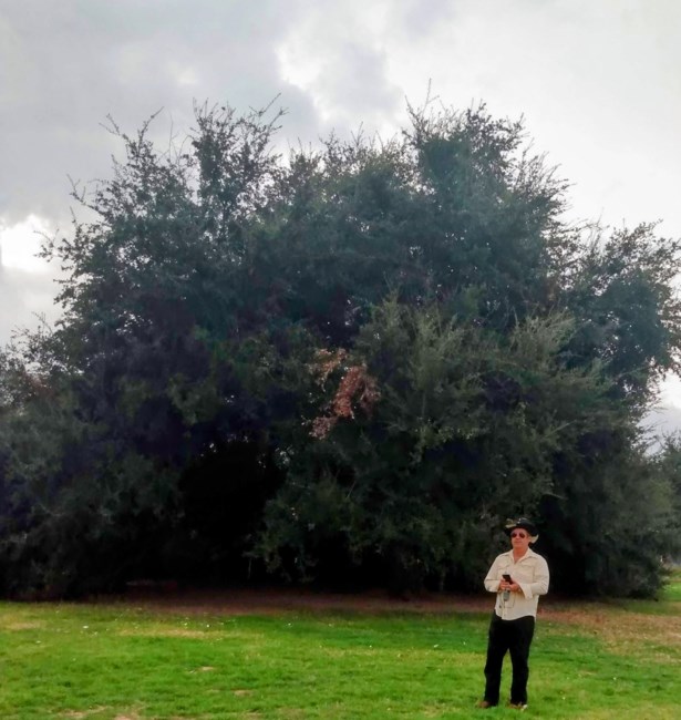 Obituary of Patrick Rae Pugin