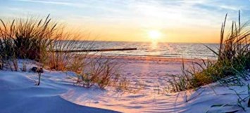 Obituary of Steven Ray Perdue