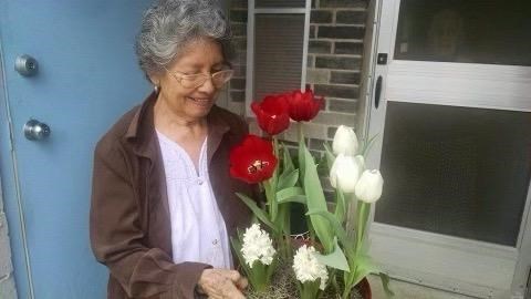 Obituary of Maria Dolores Figueroa