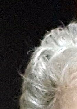 Patricia Smiley Obituary Staunton, VA