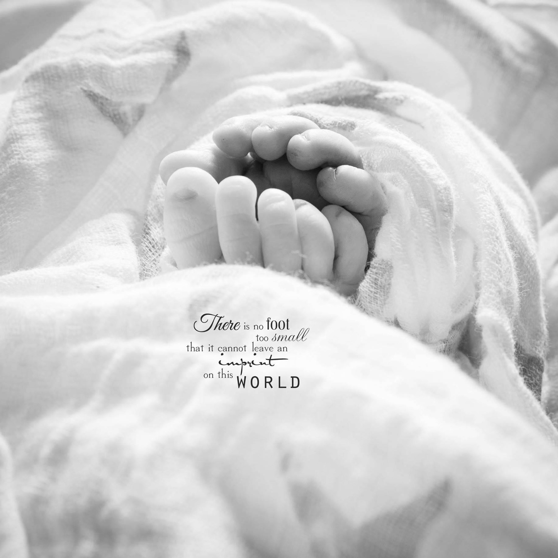 Obituary of Dallas Michael Stella