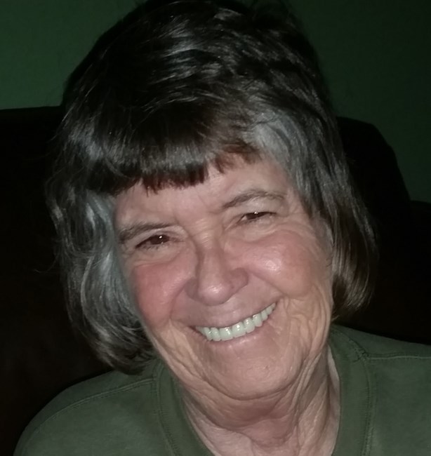 Obituary of Sheryl Jean Seely