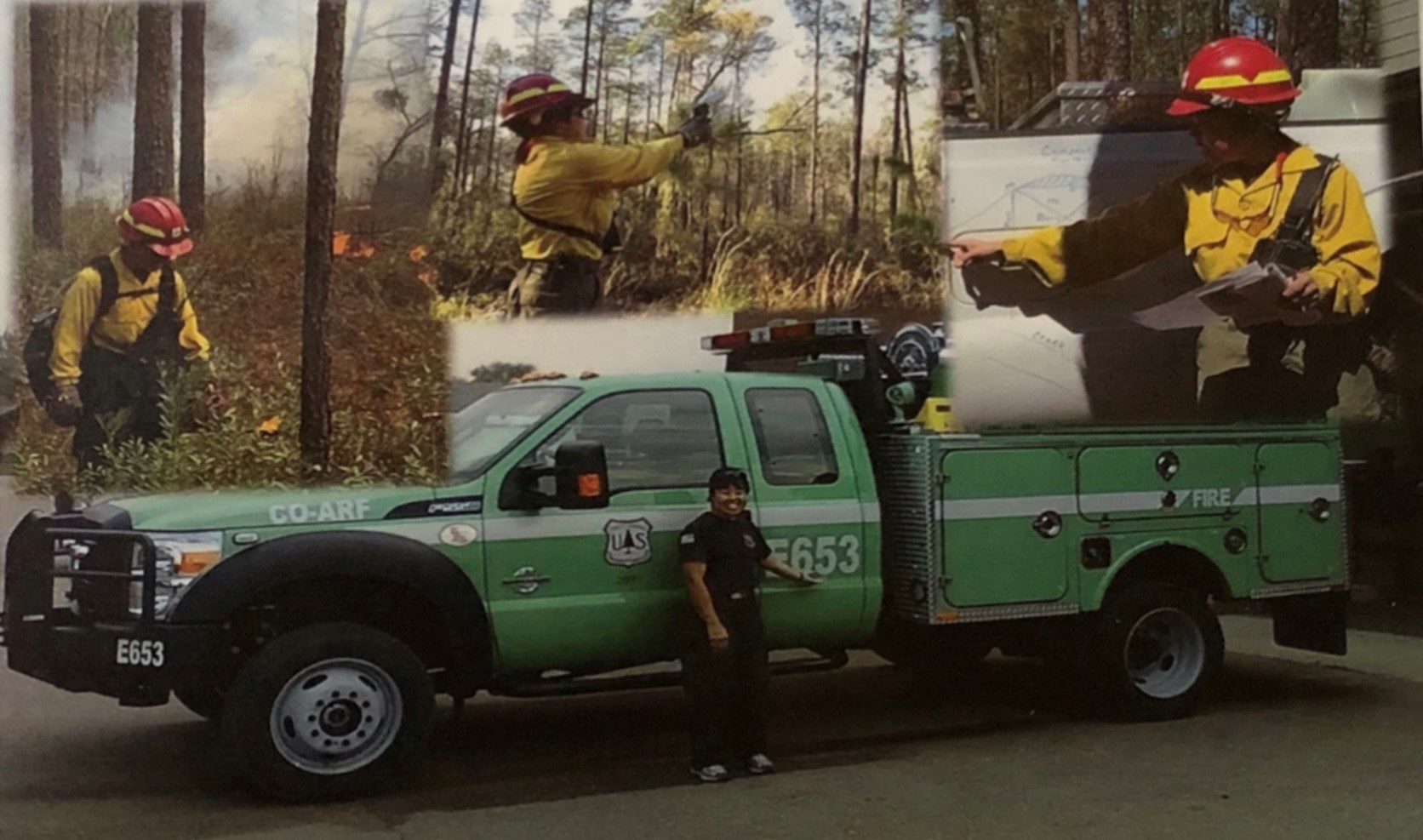 Obituary of Linda Austin