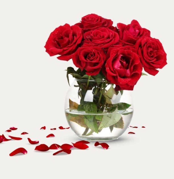 Obituary of Rosemary Franko