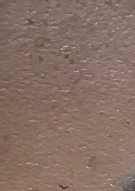 Michael McCauley Obituary Knoxville, TN