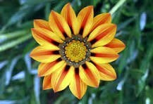 Obituary of Susan Marie Bradley