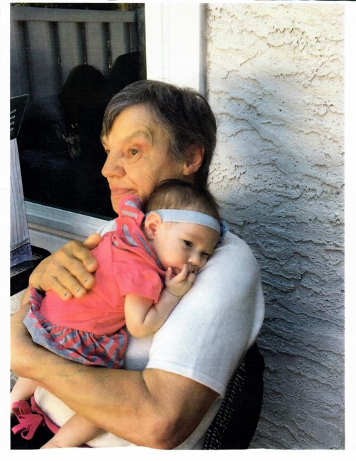 Catherine Springsteen Obituary Staten Island Ny