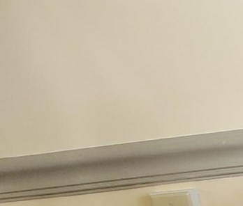 Gladys Feldman Obituary Tampa, FL