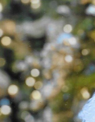 Jane Stuart Obituary - Raleigh, NC