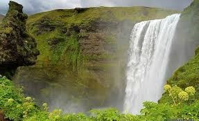 Obituary of Michelia Passion Uribe