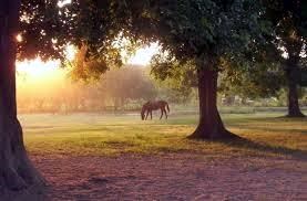 Obituary of Mr. Donald "Don" Ray Beane