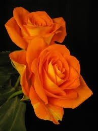 Obituary of LaVerne I. Williams