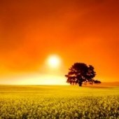 Obituary of Norman "Joe" Foreman