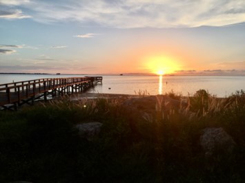 Obituary of Roy "Gene" Eugene Brock