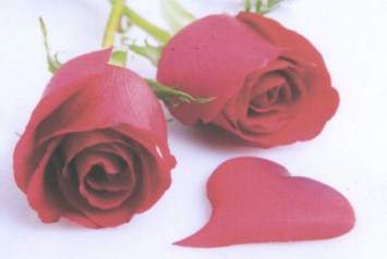 Obituary of Mr. James A. Flowers Sr.