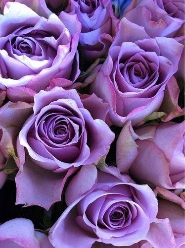 Obituario de Lois Halipilas Robinson