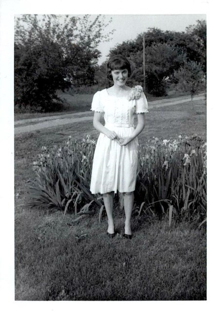 Obituary of Diana Lynn Dwyer