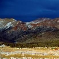 Obituary of Connie Pearlstein