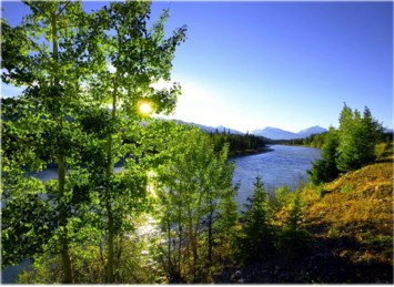 Obituary of Dean Prisco