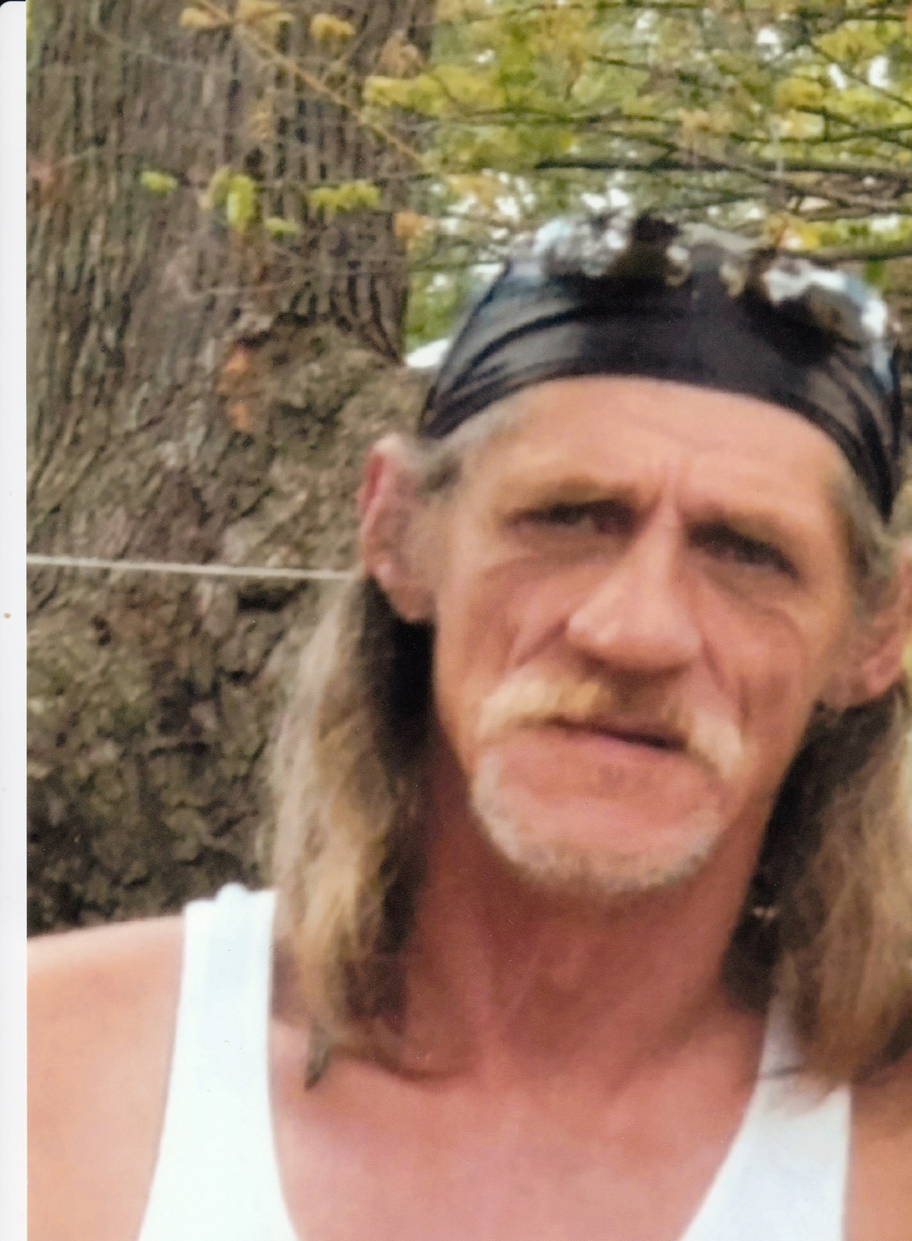 Obituary of Robert L. Dolin