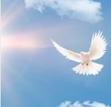 Obituary of Luis Francisco Descartes van Derbys