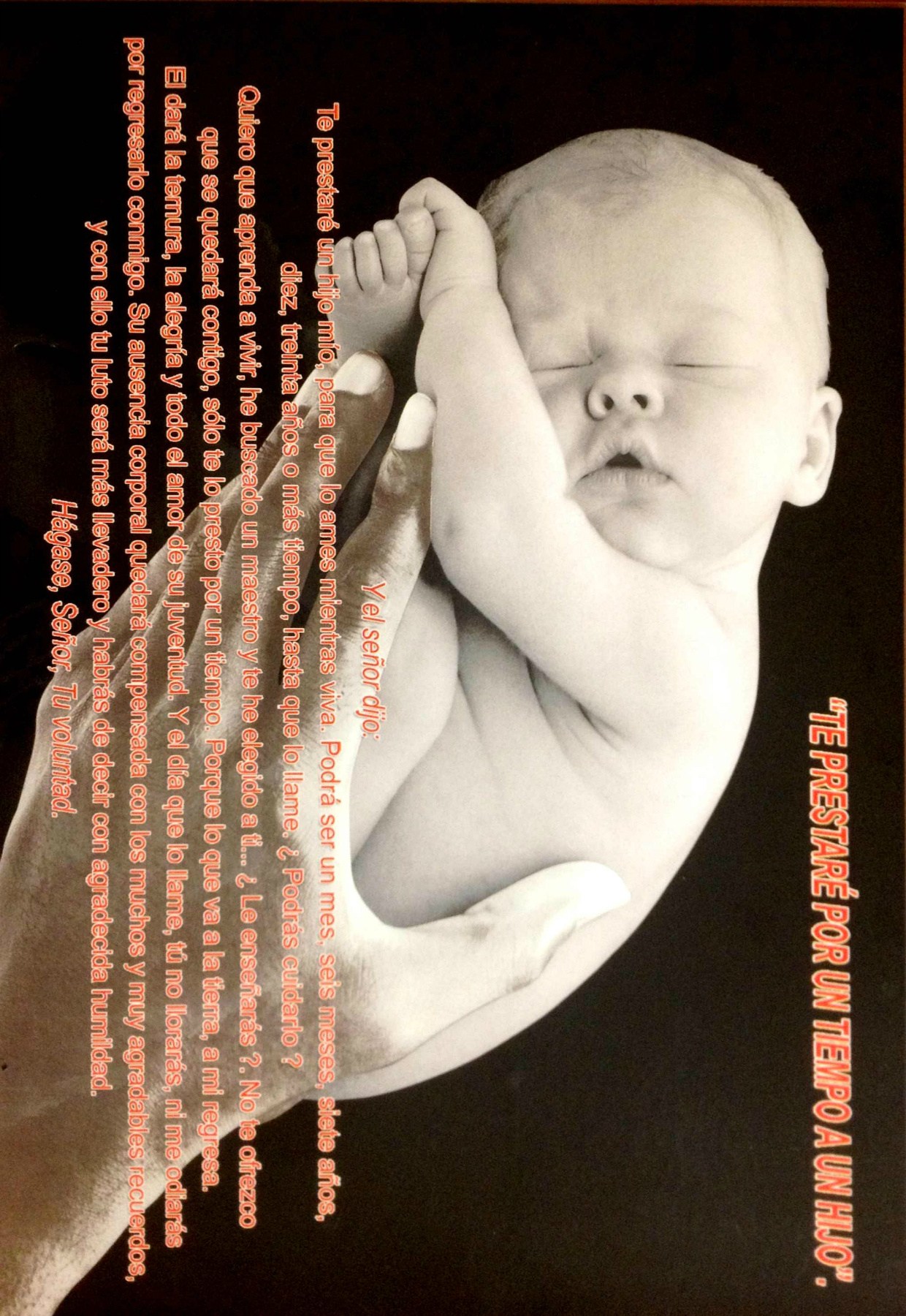 Erwin Torres Obituary Van Nuys Ca Dar dinero a un hijo para realizar la. dignity memorial