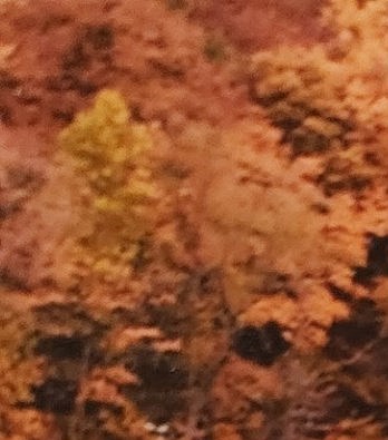 Richard Landreth Obituary - Waynesboro, VA