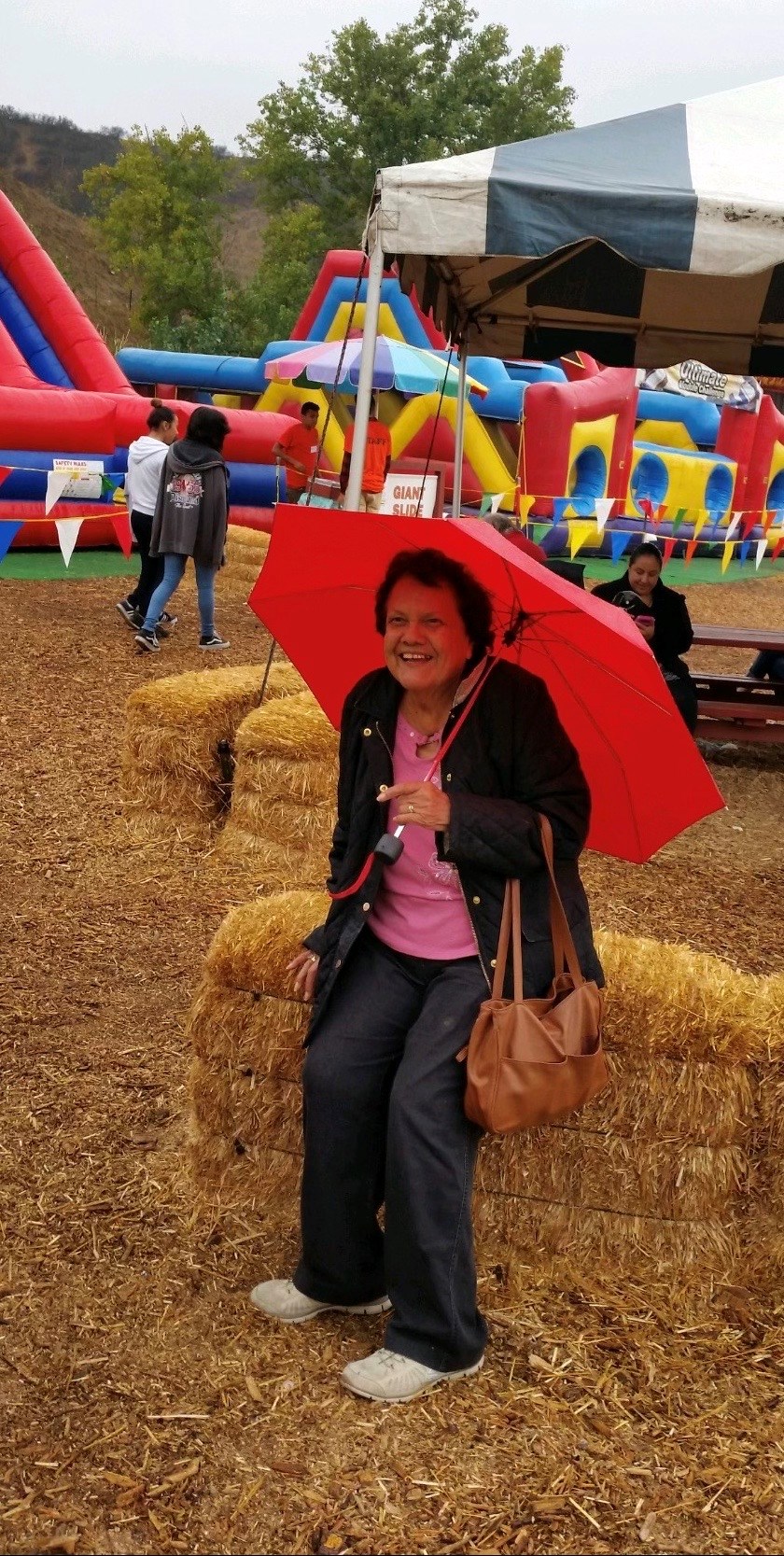 Obituary of Lina Castro