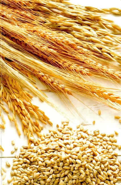 Obituary of Phyllis A Jordan