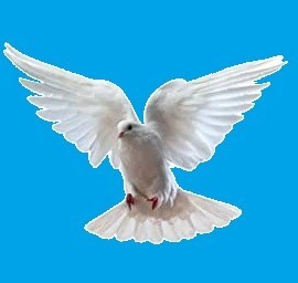 Obituary of Dolores Santos Pérez