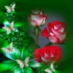 Gladys Burke
