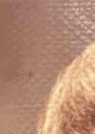 Patricia Mullen Obituary - Spring Hill, FL