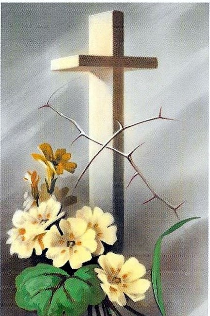 Obituary of Alan William Doce