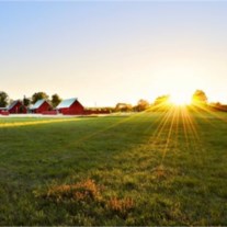 Obituary of Lois Jean Wolf
