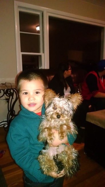 Obituary of Yorcy Yoel Ipinia Hernandez