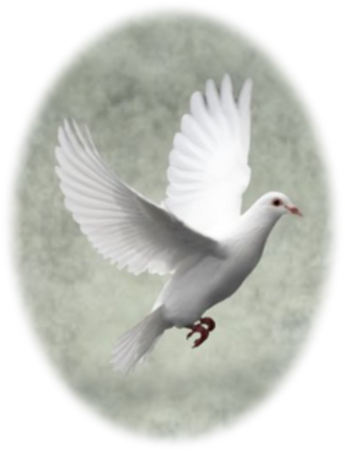 Obituary of Marica 'Mary' Siebert (neé Holjak)