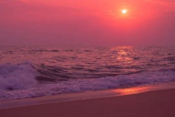 Obituary of Apolinar Sadia Fernandez