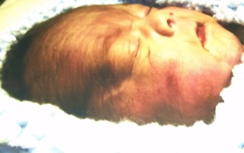 Obituary of Jayden Matthew Mendoza