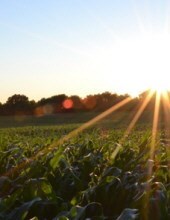 Obituary of Steven Sewell Giles