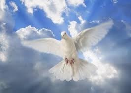 Obituary of Constance White